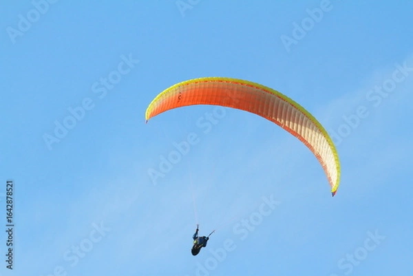 Obraz paraglider
