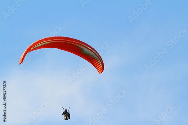 Obraz paraglider