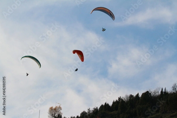 Fototapeta paraglider