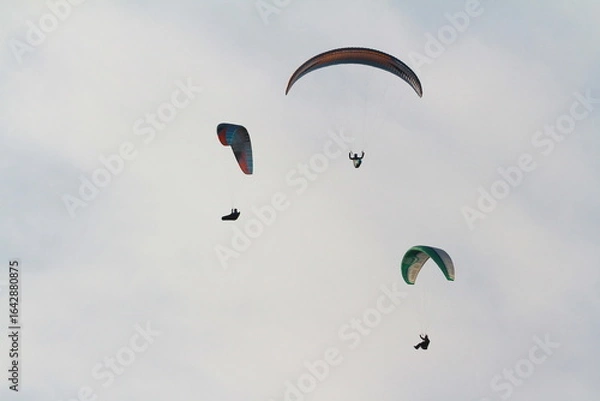 Fototapeta paraglider