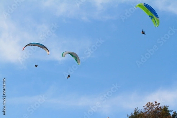 Fototapeta paraglider