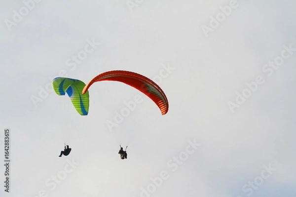 Fototapeta paraglider