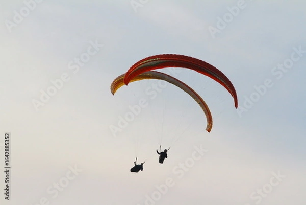 Fototapeta paraglider