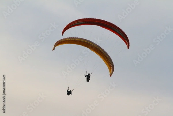 Fototapeta paraglider