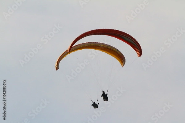 Fototapeta paraglider