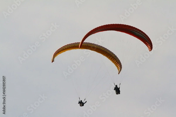 Fototapeta paraglider