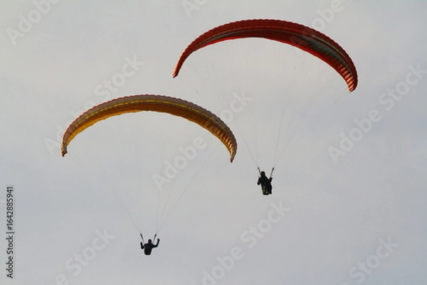 Fototapeta paraglider