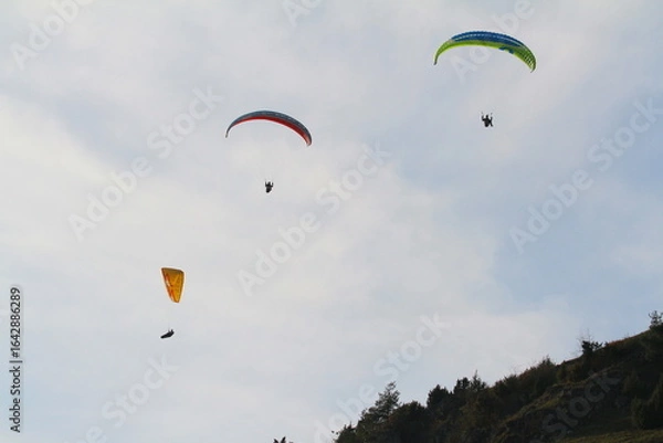 Fototapeta paraglider
