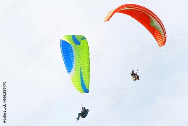 Fototapeta paraglider