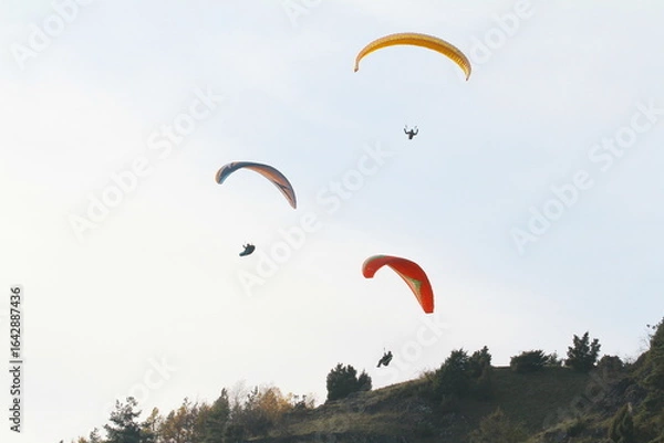 Fototapeta paraglider