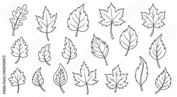 Fototapeta Doodle vector leaves in diverse shapes and sizes, perfect for autumn crafting and design projects