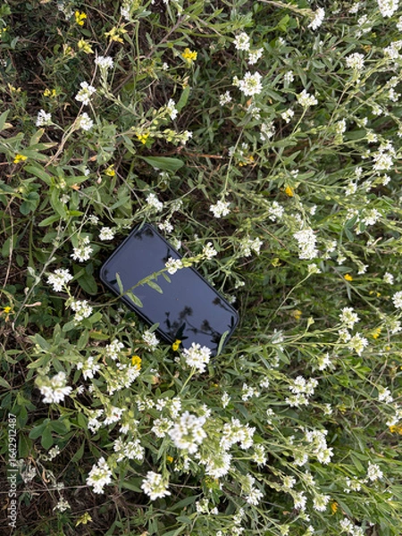 Obraz A lost smartphone lies in summer grass