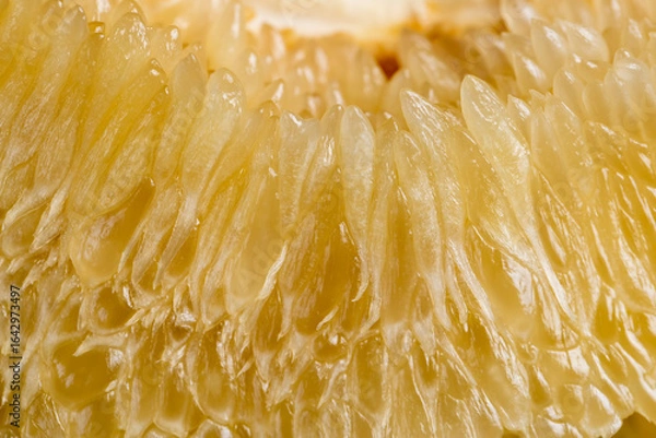 Fototapeta sweet citrus fruit peeled, pieces of delicious and sweet citrus fruit while preparing it for eating, closeup