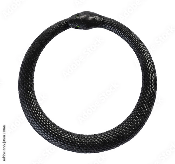 Obraz Wąż pożerający własny ogon. Symbol Ouroboros