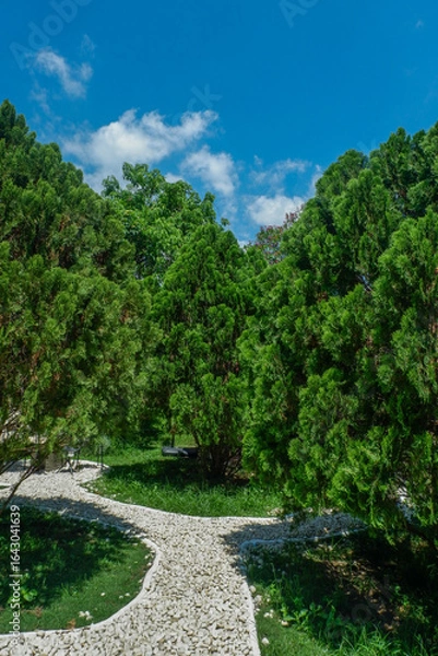 Fototapeta Garden landscape design with pathway in garden and footpath in picturesque summer park and staircase in backyard,Paving stones on floor in park,space for text.