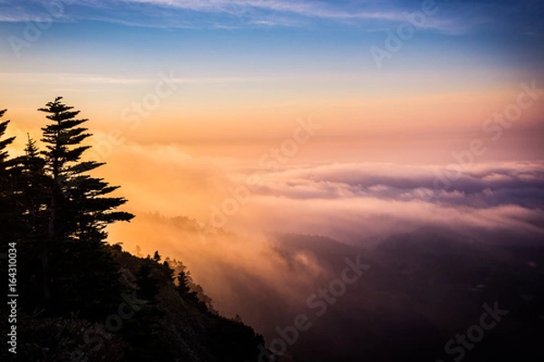 Obraz 【長野県】【群馬県】志賀草津高原道路の雲海