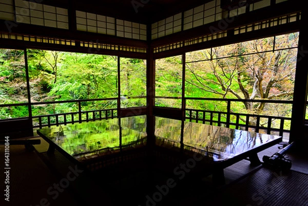 Obraz 瑠璃光院の書院からの眺め