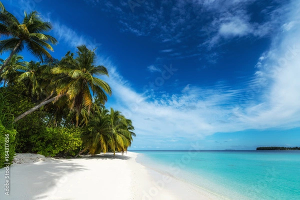 Obraz Beautiful beach. View of nice tropical beach with palms around. Holiday and vacation concept. Tropical beach.