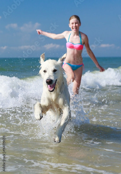 Fototapeta happy girl playing with a dog on the beach
