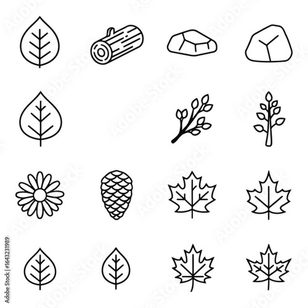 Fototapeta Art of nature elements icons isolated on white background