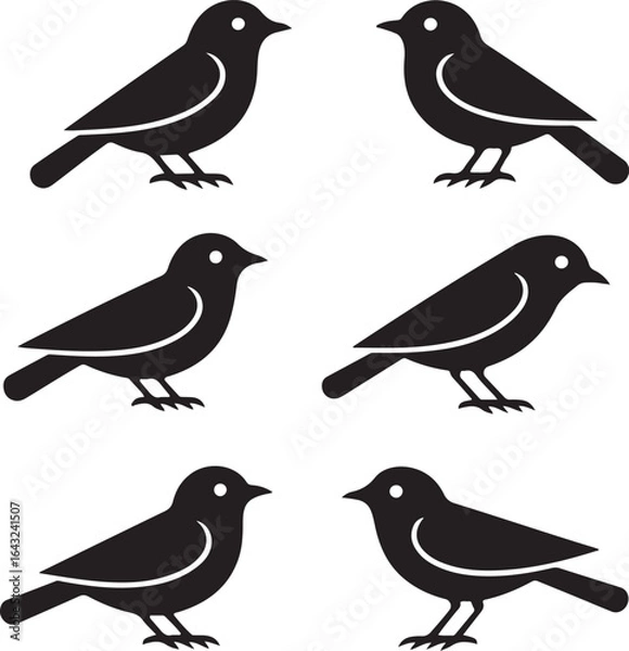 Fototapeta Vector illustration set of six stylized black birds. A minimalist icon collection representing nature, wildlife, and avian concepts.