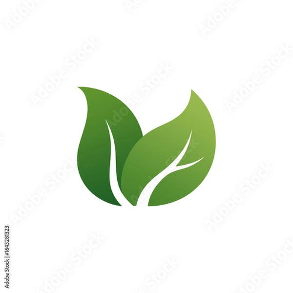 Fototapeta A green plant on a blue background with a green plant on it