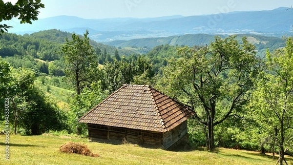 Obraz house in the mountains