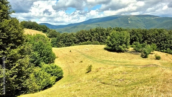 Obraz landscape in the mountains