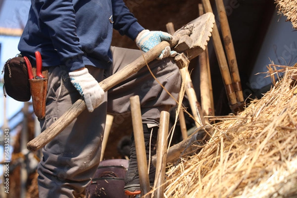 Fototapeta 茅葺き屋根の茅を押し整える職人