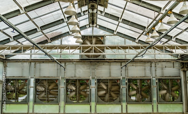 Obraz Fan system of greenhouse