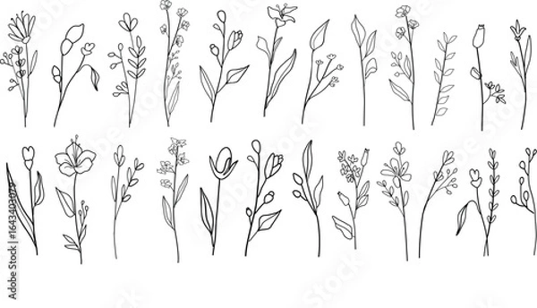 Fototapeta Elegant hand drawn line art botanical floral elements. Vector illustration for label, invitation, frame, logo.