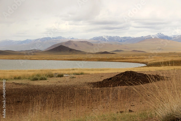 Fototapeta A small lake located in the rural area of Tolbo District, Mongolia.