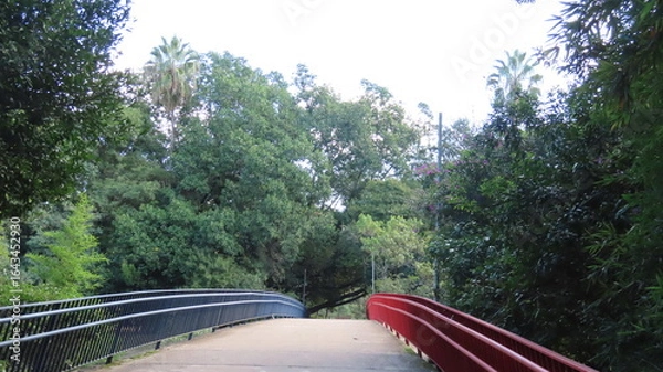 Obraz Bridge in the park
