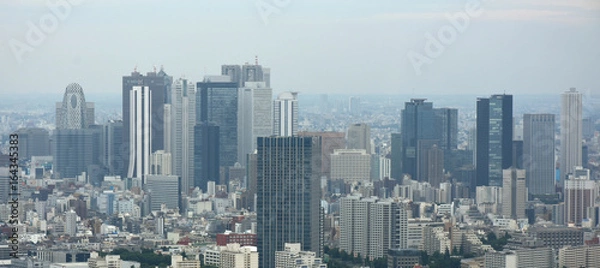 Obraz 日本の東京都市景観(新宿の高層ビル群などを望む）