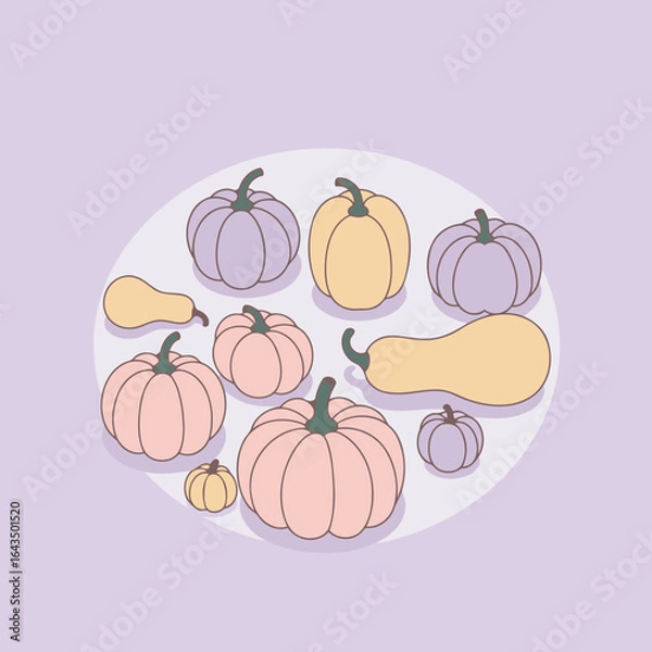 Fototapeta Colorful pumpkin and squash collection arranged on a light purple background.