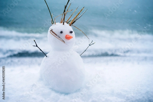 Fototapeta Little cute snowman with carrot nose on blue sea background on snow in winter. Holiday background with cute snowman. Christmas card, copy space.