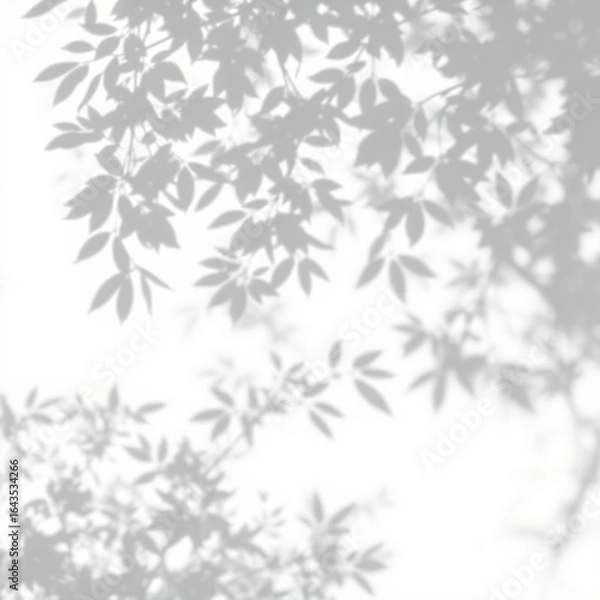 Obraz shadow overlay effect. Gray shadow of leaves isolated on white background. 
Plant foliage leaf shadow light effect. Mockup Blurred tree branch shadow. Ideal for summer spring design elements PNG