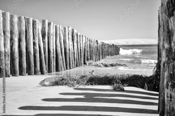Obraz View of dune of Pilat from Cap Ferret