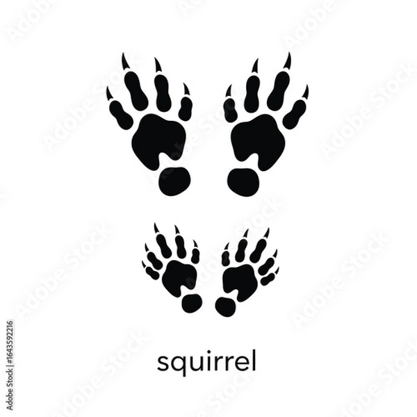 Obraz Vector art of squirrel paw prints isolated on white background, animal tracks vector