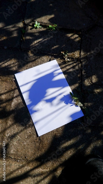 Obraz plain a4 poster paper mockup with natural light outdoor scene