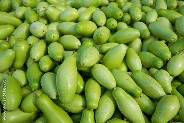 Obraz Fresh Green Eggplants