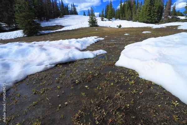 Obraz Melting snow in the mountains
