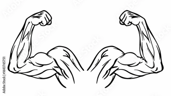 Fototapeta Illustration of two flexed arms showing biceps muscles in black and white drawing style design art
