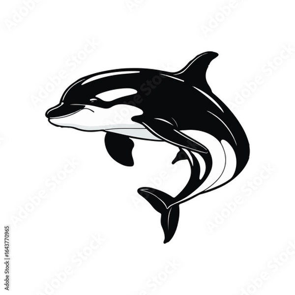 Obraz  Orca Whale