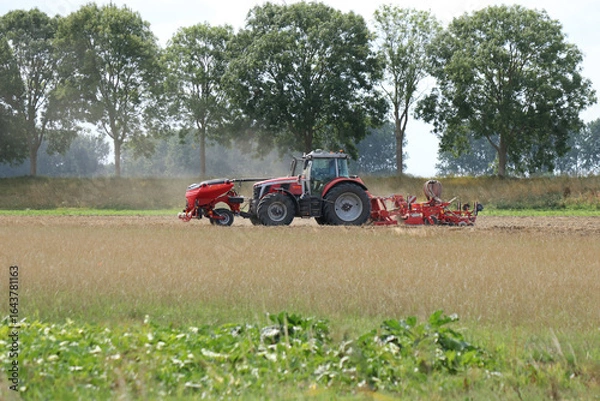 Fototapeta a big tractor with a sowing machine in a field in the dutch countryside in summer and trees