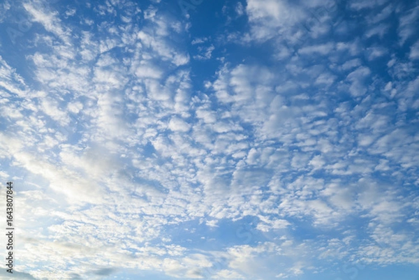 Obraz White clouds in the sky