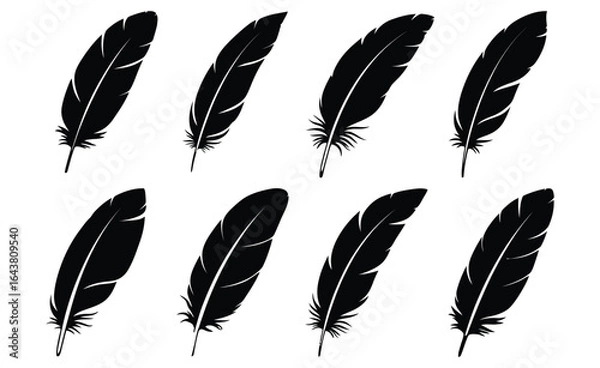 Fototapeta Vector art of collection of eight black feather silhouettes isolated on white background, offering a versatile set of avianinspired designs for artistic and decorative purposes