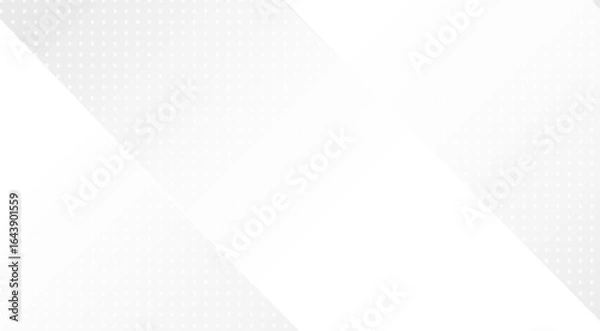 Fototapeta White grey abstract geometric background dotted pattern texture bright clean