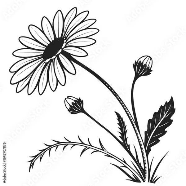 Obraz black and white flower