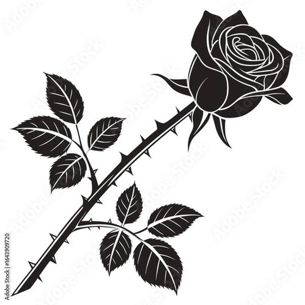 Obraz black and white rose